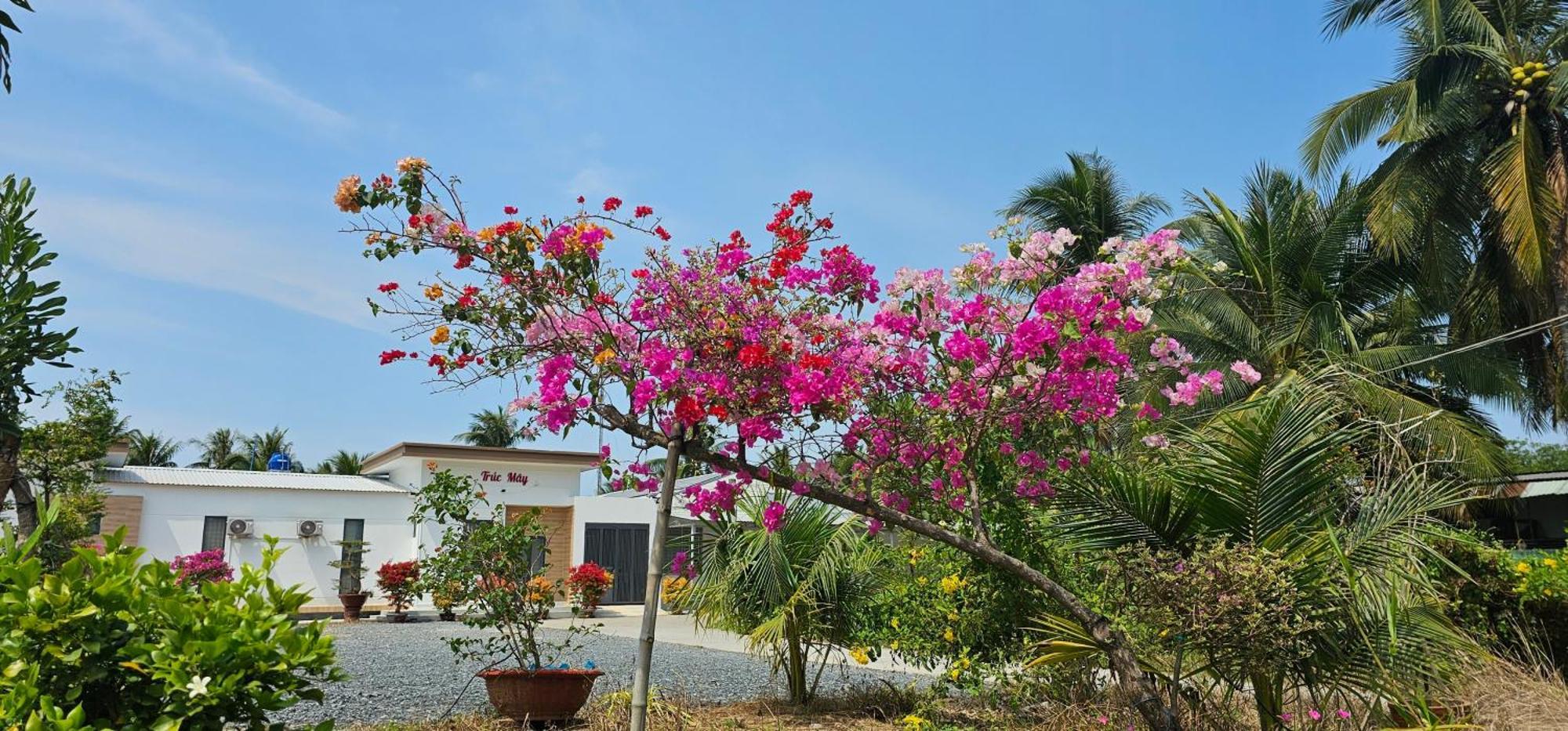 Nha Nghi Truc May Ben Tre Kültér fotó